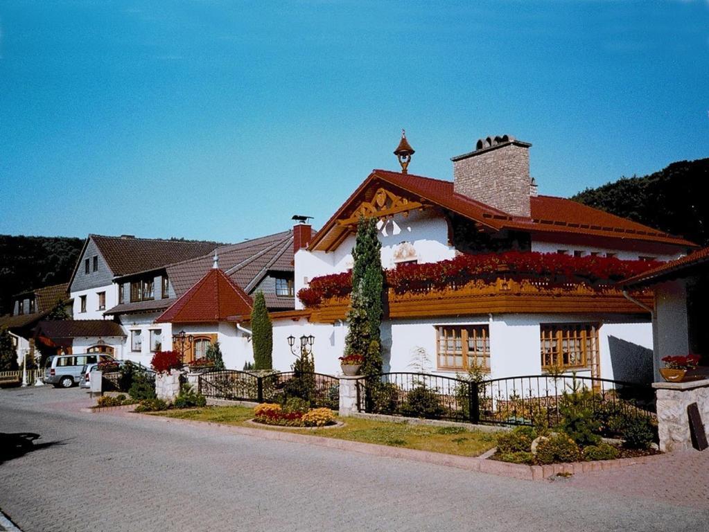 Hotel Muehlenberg Бад-Закса Екстер'єр фото